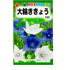 g[zN@Ԃ̎/q@傤@ւ傤@e0.4ml@ iǐՉ\[֔@Sꗥ370~j00600