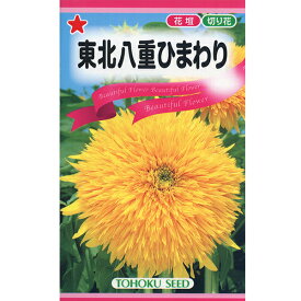 トーホク　花の種/種子　ひまわり　東北八重ひまわり　種　（追跡可能メール便発送　全国一律370円）04153