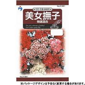 ウタネ　花の種/種子　美女撫子　特選混合　種　（追跡可能メール便発送　全国一律370円）31961