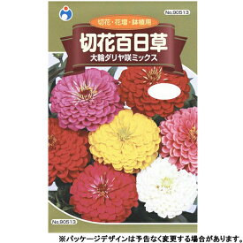 ウタネ　花の種/種子　切花百日草　大輪ダリア咲ミックス　種　（追跡可能メール便発送　全国一律370円）90513