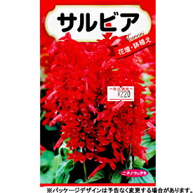 日本農産　花の種/種子　サルビア　種　（追跡可能メール便発送　全国一律370円）32248