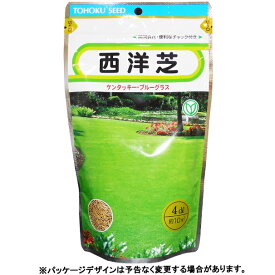 トーホク　種/種子　西洋芝　ケンタッキー・ブルーグラス　4dl　種 （追跡可能メール便発送　全国一律370円）78992　やわらかな緑色の美しい芝
