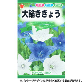 トーホク　花の種/種子　桔梗　大輪ききょう　種　（追跡可能メール便発送　全国一律370円）00600