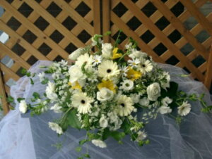 oAN[K[xgCe[u(XgpSjiԁj