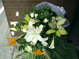 楽天市場 極楽鳥花 花束 切花 花 観葉植物 花 ガーデン Diyの通販