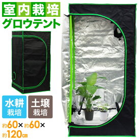 楽天市場 パクチー 栽培 キット その他 ガーデニング 農業 花 ガーデン Diyの通販 楽天市場 パクチー 栽培 キット その他 ガーデニング 農業 花 ガーデン Diyの通販