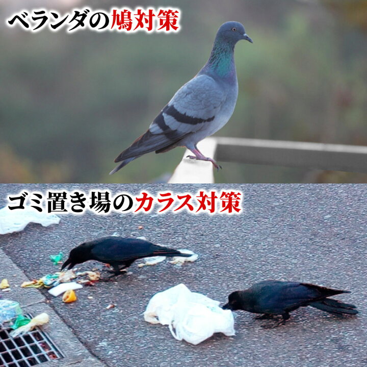 楽天市場 最大1000円offクーポン有 10 30限定 ネット 網 多目的ネット 多目的 5m 安全ネット 階段 踊り場 吹き抜け 手すり 転落 落下 安全 防護 怪我 危険 予防 対策 保護 装飾 子供 幼児 猫 犬 ペット 荷物 スマホ 簡単 丈夫 家 屋内 楽天市場 最大1000円offクーポン有 10 30限定 ネット 網 多目的ネット 多目的 5m 安全ネット 階段 踊り場 吹き抜け 手すり 転落 落下 安全 防護 怪我 危険 予防 対策 保護 装飾 子供 幼児 猫 犬 ペット 荷物 スマホ 簡単 丈夫 家 屋内