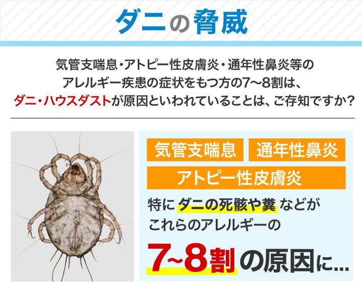 1313円 最大44 Offクーポン ダニ 捕る 捕獲 取り 退治 駆除 誘引 対策 とり
