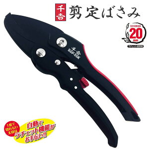 y400~OFFLINEFz ΂ oT~  g senkiti ͂ 20mm K[fjO `Fbg `Fbg    | }؂oT~ } y ؂ꖡ nT~ 