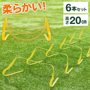 ラダー 陸上 トレーニング 備品の通販 価格比較 価格 Com