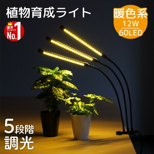 A琬Cg led A琶Cg LED ACg ϗtA LEDCg LED60 z Nbv X^h 5iK A琬pplCg ^C}[t USBd tLVuA[ ƒ