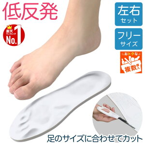 ySiz50l1lI15-16z ~ ᔽ C\[ Ռz 2g 1 2 4 t[TCY ő 30cm TCY ZtJbg ~ C    Ռ z  