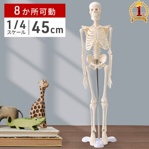 y99%OFF!! 320`z l̖͌^ ~j l̍i͌^ iW{ 45cm 45661 f zCg   ǂ l` z[ l` Sg  l 񂽂 ͌^   O