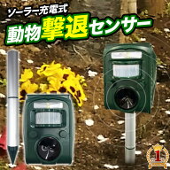 ＜本日23:59まで＞【最大1,000円OFFクーポン】 動物撃退器 超音波 ソーラー式 動物撃退機 害獣 害獣撃退 …