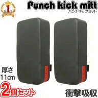 キックミット パンチ 2個セット 空手 キックボクシング 格闘技 ジム フィットネス 筋トレ 筋トレグッズ …