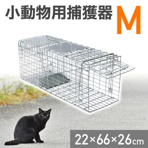 猫よけ 庭の人気商品 通販 価格比較 価格 Com 猫よけ 庭の人気商品 通販 価格比較 価格 Com