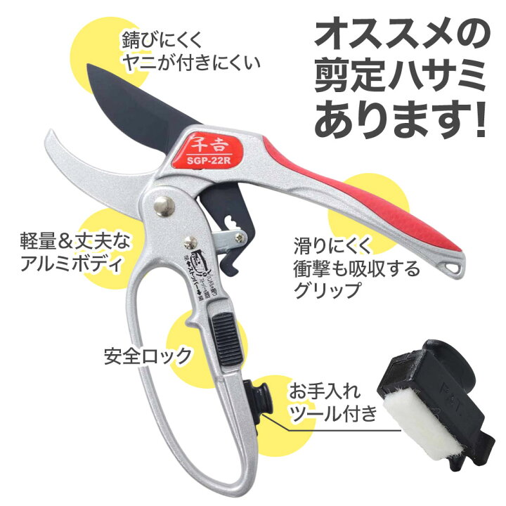 楽天市場 剪定ばさみ 剪定はさみ 剪定ハサミ 剪定バサミ 剪定鋏 千吉 ラチェット式 ガーデニング 芽切 鋏 園芸鋏 枝切りバサミ 小枝 軽量 切れ味 ハサミ 園芸はさみ 切断 枝 木 庭鋏 園芸 盆栽 庭作業 庭掃除 庭いじり 送料無料 ｅｔｃｅｔｅｒａ