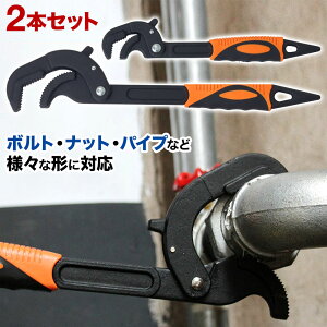 Ռ99%OFF12/1撅N[| pCv` 召2{Zbg 2{g \` H   pCv {g ibg eiX ߂ ɂ߂  ֌ zǍH tbN` nh