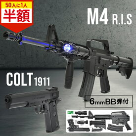 【全品50%OFFのチャンス☆14〜15日限定】 エアガン モデルガン アサルトライフル 2点セット アサルト ハンドガン BB弾 エアーガン セット ライフル エアーハンドガン 安全装置 付属 撃退 駆除 シューティング サル 鳥 害鳥 カラス 撃退 威嚇 駆除 害獣 猪 キツネ 田んぼ