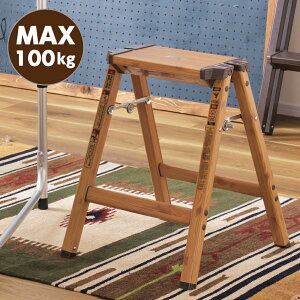 y50l1l[z] ̃`X6`7z Xc[ ؐ ܂肽 ݑ r ܂肽 Xebv ω׏d 100kg A~  Ƒ  45cm ؖڒ  1i CeA qp
