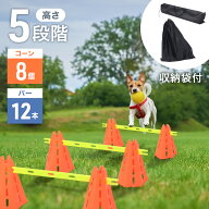 1,000円オフ先着クーポン★19(土)18時～ アジリティ 犬 ハードル コーン ドッグアジリティ コーン サッカ…