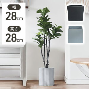 v^[ ^ 28×28cm Jo[ A A XNGA ` [^ Aؔ AJo[ Jo[ ڈ 5`8 K[fjO K[f t[ diy  ubN O[ CgO[ Z