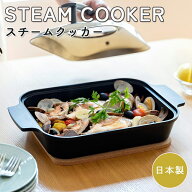 leye オークス スチームクッカー レイエ グリルパン 魚焼きグリル 魚焼き器 日本製 IH対応 ガス火 蓋付 …