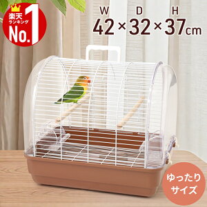 5%OFF+yzz̃`X9-10  P[W P[W ^ ^  Ƃ肩   L[P[X pL[   CR ړ L[ JS 