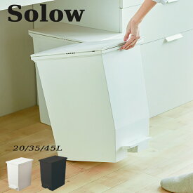 ゴミ箱 おしゃれ 45リットル ペダルオープンツイン 20L 35L 45L 分別 キッチン ふた付き 足ふみ カップボード カウンター キッチンカウンター ペダル式 犬 猫 ペット 消臭 ダストボックス ごみ箱 キッチン オムツ おむつ 浴室 洗面所 ごみばこ リビング ブラック ホワイト