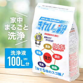 【赤字覚悟★「5％OFFクーポン」＆「ポイント4倍」★3/30】 【複数セット販売中】洗剤 洗浄 剤 粉末洗剤 きれいッ粉 掃除 脱脂 除菌 室内 漂白 脱臭 つけおき 食器 シミ抜き パウダー シミ抜き剤 赤ちゃん 洗濯用品 洗濯槽 クリーナー 粉末