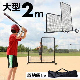 【50％クーポン★19日20時〜1枚限定】 防球ネット 野球 黒 練習 防球フェンス 野球ネット 練習用 自宅 庭 網 ピッチング 練習ネット ネット ピッチングネット L字型 保護ネット 投球ネット 投手用 スポーツ スポーツ用品 部活 野球練習 学校 施設 トレーニング