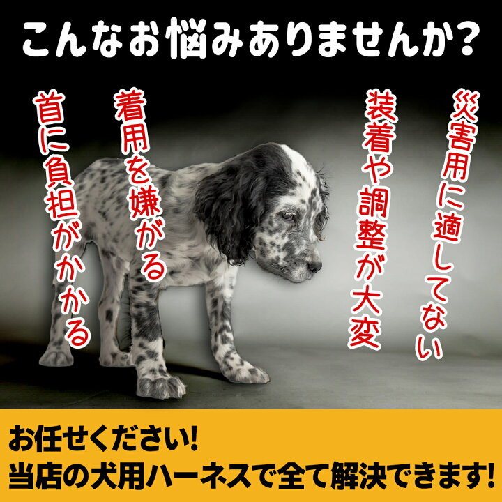 楽天市場 犬 ハーネス おしゃれ 小型犬 中型犬 ブランド 簡単装着 抜けにくい メッシュ かわいい 夏 超小型犬 夏服 可愛い 抜けない グッズ ペット トイプードル リードセット 負担が少ない 柴犬 犬用ハーネス 犬のハーネス 犬ハーネスリードセット 犬リードハーネス