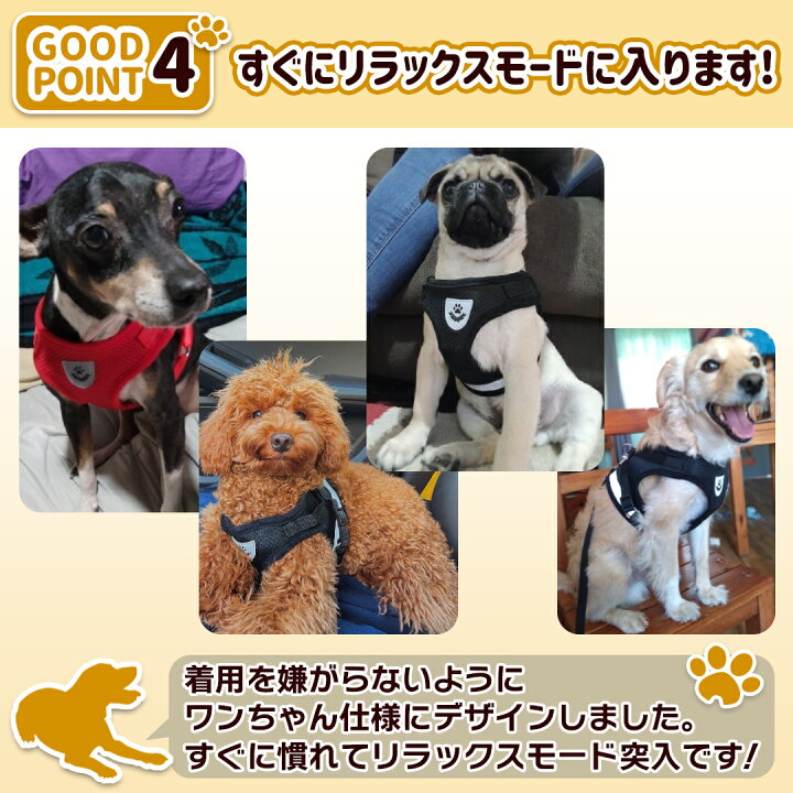無駄吠え防止グッズ バークコントローラー 犬 しつけ 首輪 充電式 振動 ビープ音 7段階 小型犬 中型犬 大型犬 躾 犬鳴き声対策 自動訓練 Pet Mudaboe パープルヘイズ 通販 無駄吠え防止 首輪 Travtur Com