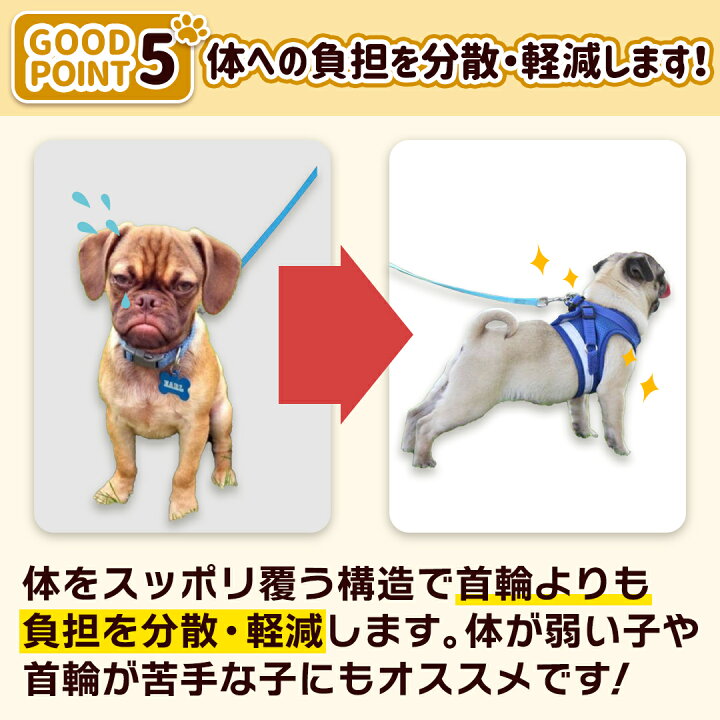 楽天市場 犬 ハーネス おしゃれ 小型犬 中型犬 ブランド 簡単装着 抜けにくい メッシュ かわいい 夏 超小型犬 夏服 可愛い 抜けない グッズ ペット トイプードル リードセット 負担が少ない 柴犬 犬用ハーネス 犬のハーネス 犬ハーネスリードセット 犬リードハーネス