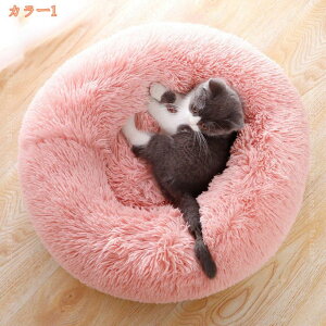 500~OFFN[| ybgxbh p Lp xbh ybg LbgnEX \t@[ ӂӂ ӂӂ }bg RR   ^ Lxbg NbV ybgpxbh LnE