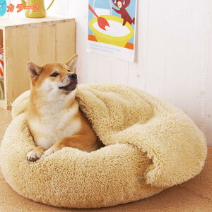  ybgxbh Q ybgNbV ~^  L }CNt@Co[ ybg xbh ybgpxbh ӂӂ ΍ h g g  Hp H ~p ~ ~` ی^ 