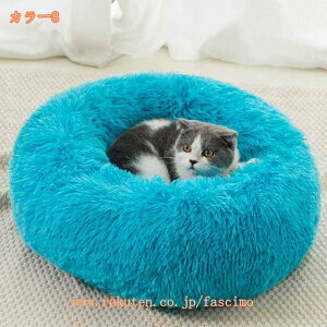 ӂӂ ybgxbg 50cm 􂦂 p Lp ybgpxbh I[V[Y ʔN ~ ی^ h[ic^ ybg\t@[ ybgNbV  ^ ˂ ^ Q 킢 ~ 