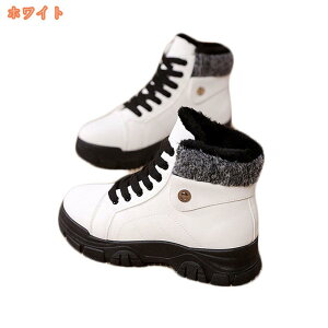 500~OFFN[| Xm[u[c fB[X u[c [gu[c V[gu[c {A  ZC Ή IV h ۉ ~ Ǝ w RtH[g Ȑ ȌC C 