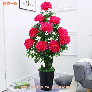 ��^ �t�F�C�N�O���[�� �C���e���A �ϗt�A�� ������� ���t�� �t�F�C�N �l�H�ϗt�A�� ���� ���A�� �ϗt�� �V���v�� �I�t�B�X ���� �l�H�ϗt�� �J�t�F BAR ���� ���� ���r���O �Q�� �t�F�C�N�O