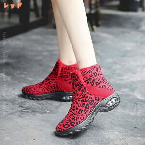 500~OFFN[| Xm[u[c fB[X EB^[u[c ~pu[c V[gu[c JWA C hu[c h N ȌC ʋ ϋv Ή E hC Xm[V[