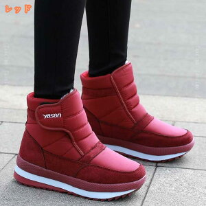 Xm[u[c Xm[V[Y ȌC C C Ou[c Y fB[X WjA XpCNt h ےg h ᓹ oR Oo U ʋ ʊw s ȌC C Ou[c pu[