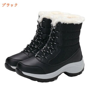 500~OFFN[| Xm[u[c Y Wbp[ V[g  hC N ~C ~pu[c y hu[c h V[gu[c JWA C ȌC ʋΒʊw ϋv Ή E