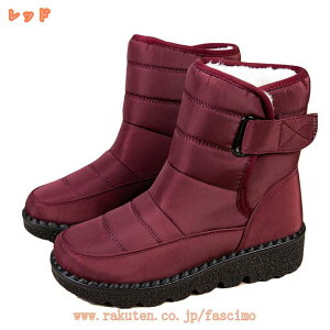 500~OFFN[| Xm[u[c Y Wbp[ V[gu[c hC N ~C ~pu[c y hu[c h V[gu[c JWA C ȌC ʋΒʊw ϋv Ή xN