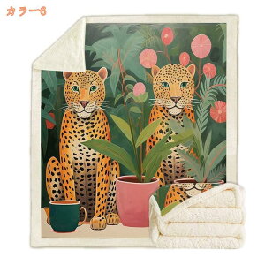 1000~OFFN[| ѕz uPbg VO |ѕz 񖇍킹 tln V[v{An  ӂӂ Ódh~ ېOK RۖhL h_jH v[g H~ Aj} 