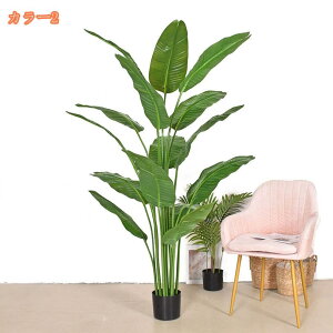 Ηt ^ tFCNO[ lHϗt Vv ItBX  CeA   AJV ȒP {ɂ X  a m ItBX ܂ Q lH