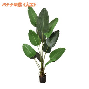 Ηt ^ tFCNO[ lHϗt Vv ItBX  CeA   AJV ȒP {ɂ X  a m ItBX ܂ Q lH