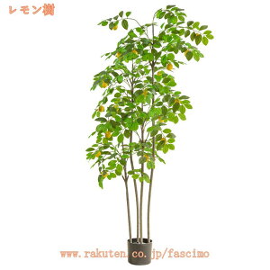 1000~OFFN[| lHϗtA ^ Ύ tFCNO[ lHϗt tFCNϗtA ^  CeA  lH tFCNA bsv b炸 sv 