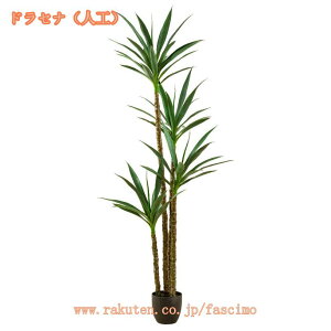 ^ tFCNO[ lHϗtA k i` sv ͂Ȃ QȂ CeA O[ rO ItBX X  a lHϗtA tFCNO[ 