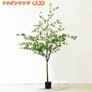 Ηt tFCNO[ lHϗtA ^ lHϗt Ύ  CeAO[  t Vv ItBX ݑ nhCh tFCNA  A lH tFCN