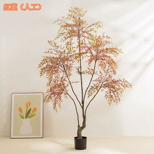 tFCNO[ lHϗtA k i` CeA ^ A X GgX c ItBX E  ze [ j JXj JƏj t tFCNO